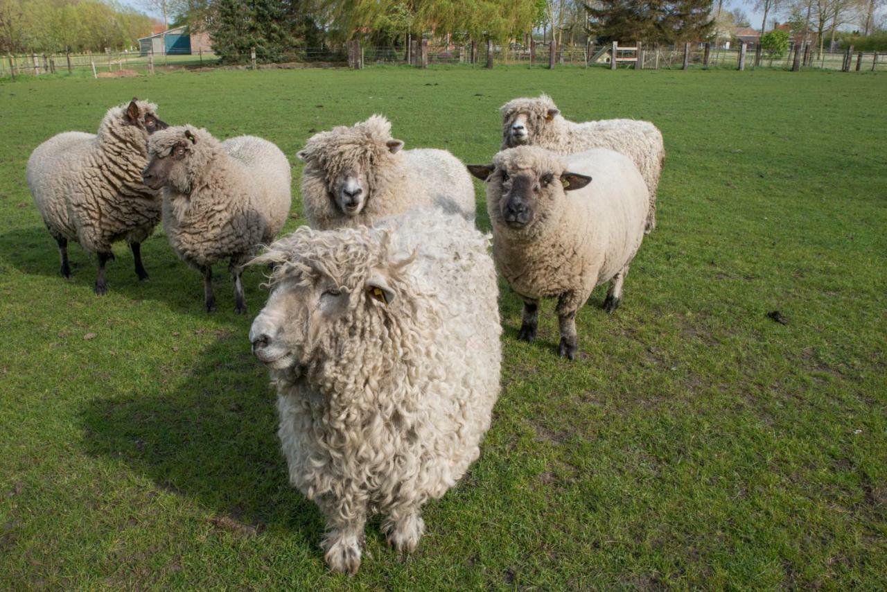 Boeren Biezen Bed Landelijk 빌라 외부 사진