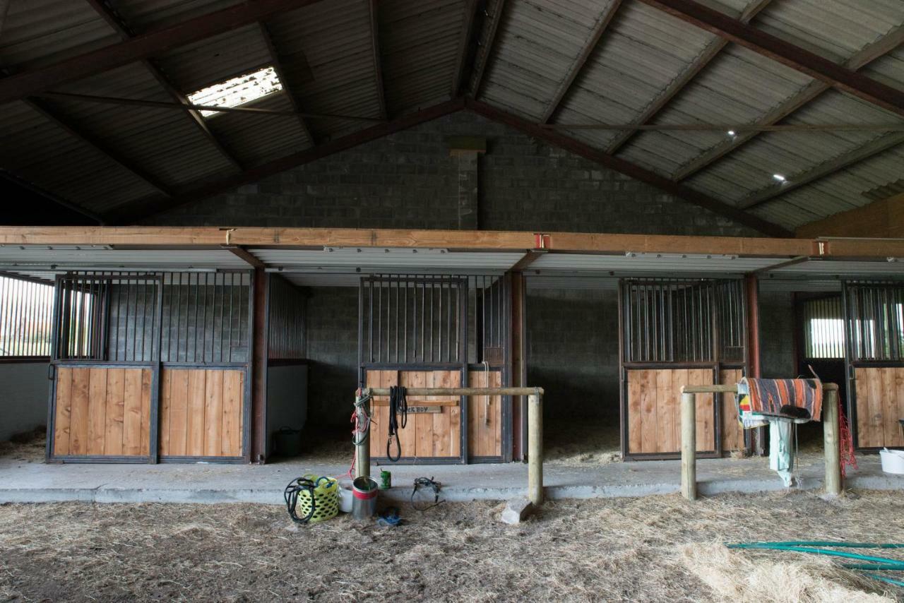 Boeren Biezen Bed Landelijk 빌라 외부 사진