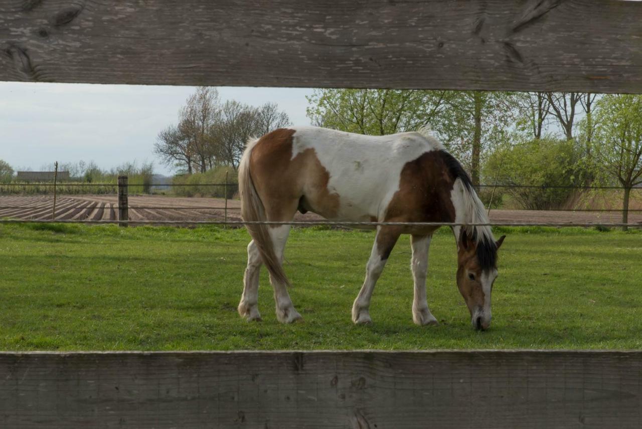 Boeren Biezen Bed Landelijk 빌라 외부 사진