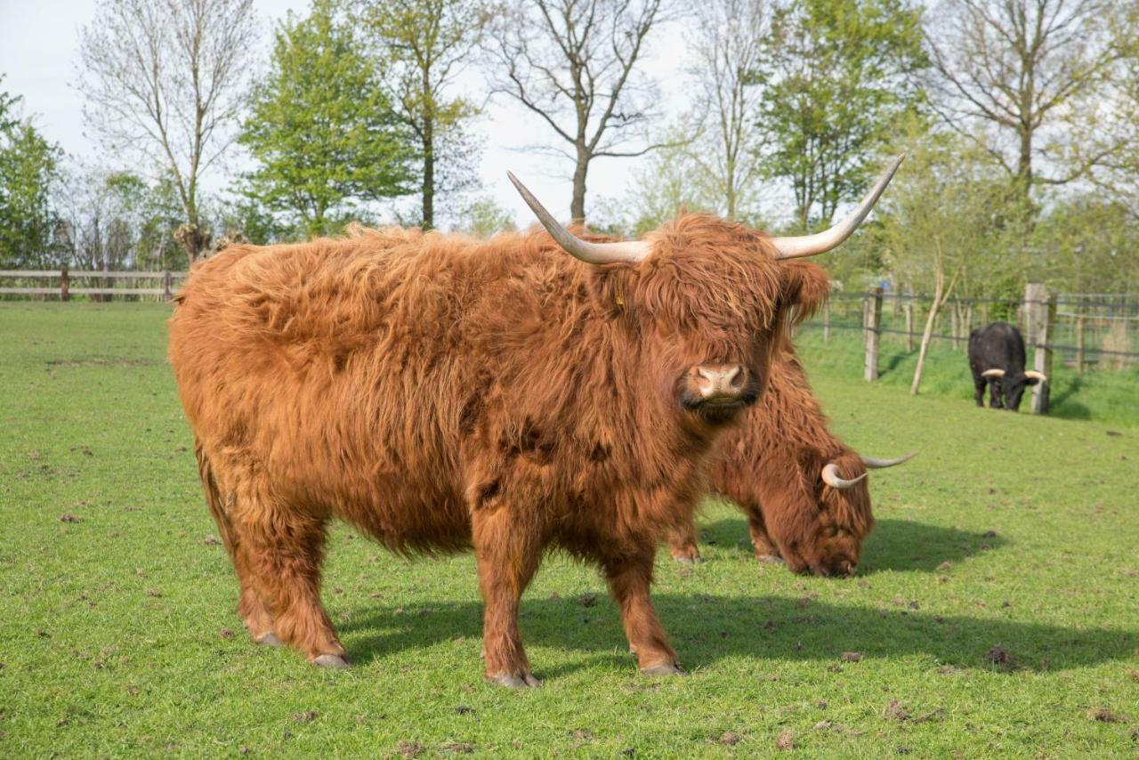 Boeren Biezen Bed Landelijk 빌라 외부 사진