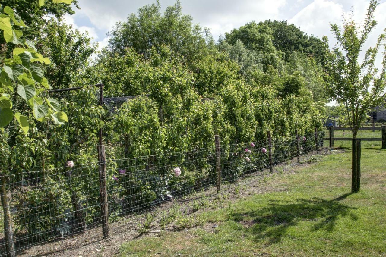 Boeren Biezen Bed Landelijk 빌라 외부 사진